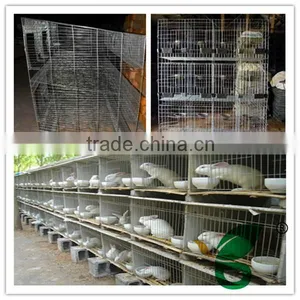 High Quality Advanized Large Animal Cages for Sale thumbnail-1