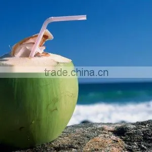 Coconut Juice thumbnail-1