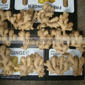 China Air Dry Ginger Professional Supplier for Holland and Russia thumbnail-5