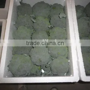 Fresh Broccoli Price thumbnail-1