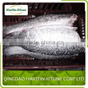Skinless Iqf Tilapia Fillet Fish For Sale thumbnail-1