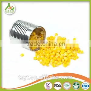 Canned Sweet Corn Kenels Kenel Fruit Vegetable Supplier for Russia thumbnail-2
