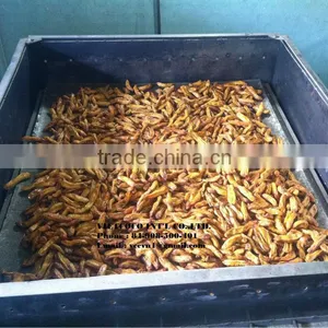 Sun Dried Bananas thumbnail-3