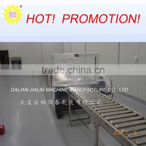 Single Chain Roller Conveyor thumbnail-1