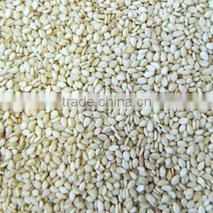 HULLED SESAME SEEDS thumbnail-1