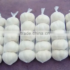 Well-chosen Top Quality Dehydrated Pure White Garlic in Carton thumbnail-1