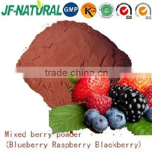 100% Natural Mixed Berry Extract Powder thumbnail-1