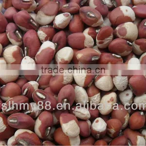 Northeast China Speckled Cowpea thumbnail-1