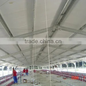 Poultry Farming Design thumbnail-1