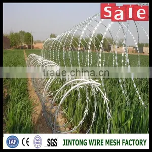 Price Concertina Razor Barbed Wire With Pallet thumbnail-6