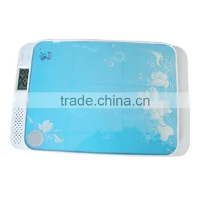 UV Ultraviolet Family Toothbrush Sanitizer Sterilizer Cleaner Disinfector thumbnail-2