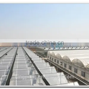 Flat Clear Tempered Transparent Glass Greenhouses for Agriculture (ISO9001:2000) thumbnail-2
