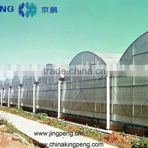 Multi Span Agricultural Greenhouse thumbnail-1
