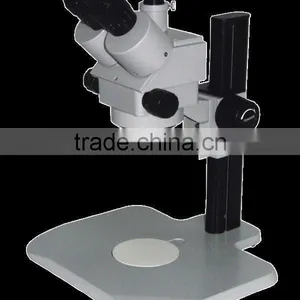 Microscope thumbnail-1