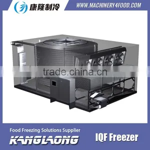 2015 New Design High Quality Spiral Frozen Food Plants thumbnail-3