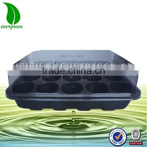 Plastic Nurse Seed Trays With Lid thumbnail-1
