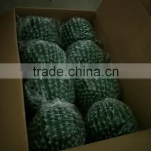 SJ3001014 High Initation Ornamental Artificial Cactus Plant/cactos for Office Decoration thumbnail-6