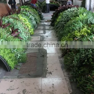 High Technique Fake Grass Wall Evergreen Artificial Grass Wall thumbnail-4