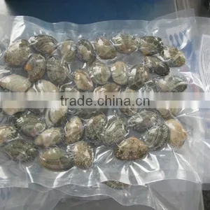 High Frozen Vacuum Packed Short Necked Clam thumbnail-5