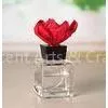 Transparent Square 100ml Small Glass Reed Diffuser With Sola Flower TS-GRD05 thumbnail-1