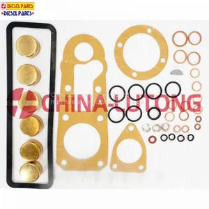 Diesel Pump Repair Kits-cummins Rebuild Kit 1 417 010 003 for ISUZU Ve Pump thumbnail-2