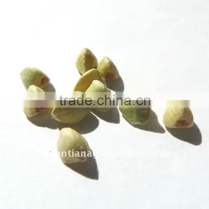 Green Buckwheat Kernels thumbnail-1