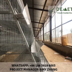 Egg Laying Chicken Cages thumbnail-5