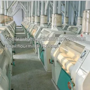 Wheat Flour Mill,wheat Grinding Machine,wheat Grinder Machine thumbnail-5