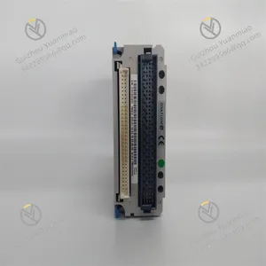 1C31124G01 EMERSON Digital Input Module thumbnail-3