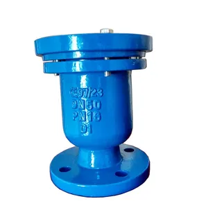 Automatic Dual Ball Air Valve Cast Steel DI QT450 DN50 PN16 PN25 Flange Single Ball Air Valve thumbnail-4