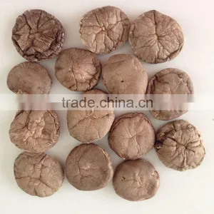 China Dried Shiitake Mushroom With Cap 3-4 CM thumbnail-1