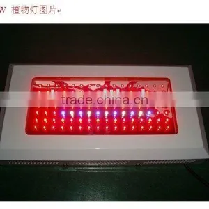 LED 120W GROW LAMP thumbnail-1