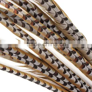 Factory Supply 100-110cm Natural Craft Reeves Pheasant Tail Feather thumbnail-1