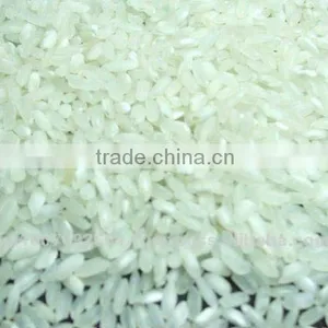 VIETNAMESE MEDIUM GRAIN RICE thumbnail-1