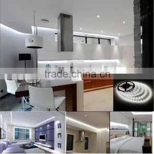 Fullbell Hotsell Smd Led Aluminum Profile Led Strip Light 100m Shenzhen Decorations Led Light thumbnail-6