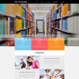 Website Web Design thumbnail-1