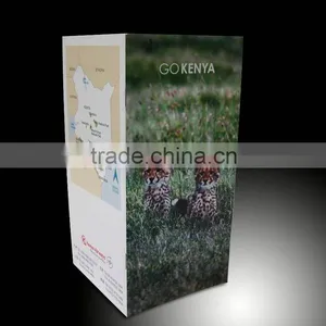 Professional Brochure Design Templates thumbnail-1