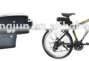 BMS Lithium Ion Battery 48V 10Ah for Electric Bike Specialized Manufacturer- Ebike Frog Type Battery Pack With Case Quality Choice thumbnail-2