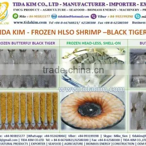 SURIMI ITOYORI FROZEN TIDA KIM LOBSTER SHRIMP CRAB KINTOKIDAI GUCHI KOCHI RIBBON BIG EYE SNAPPER ESO SEABREAM MIX AA 300 500 700 thumbnail-5