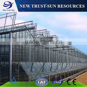 Polycarbonate/PC Multi-span Agricultural Greenhouse thumbnail-1