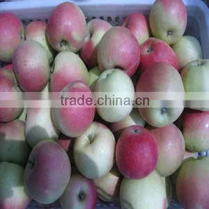 Fresh Apple thumbnail-1