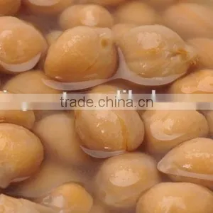 Canned Broad Beans, Canned Broad Beans in Brine for Sale thumbnail-3