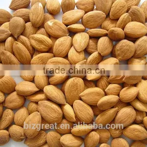 Supply With China Origin Sweet Apricot Kernels for Sales thumbnail-3