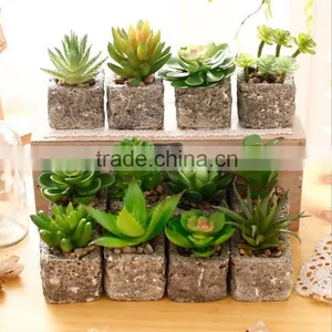 2016 Latest Design Artificial Succulent Pot Succulent Plants For Sale thumbnail-1