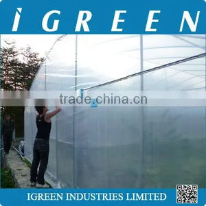 Used Commercial Greenhouse thumbnail-4