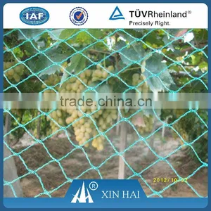 Xinhai Brand PE Fishing Net Agricultural Chap Anti Bird Netting Manufacturer thumbnail-4