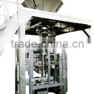 VFS5000G Automatic Packaging Machine Line thumbnail-1
