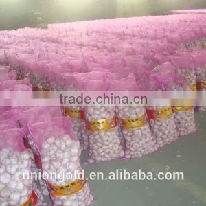 2016 New Crop Natural White Garlic in Purple Mesh Bag thumbnail-1