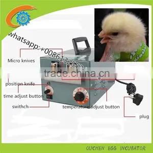 CE Approved Chicken Scalder Plucker Machine for Sale With Low Price China Chicken Plucker for Sale thumbnail-5