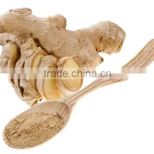 High Quality Ginger Extracg Powder Low Price Ginger Powder (water Soluble) thumbnail-4